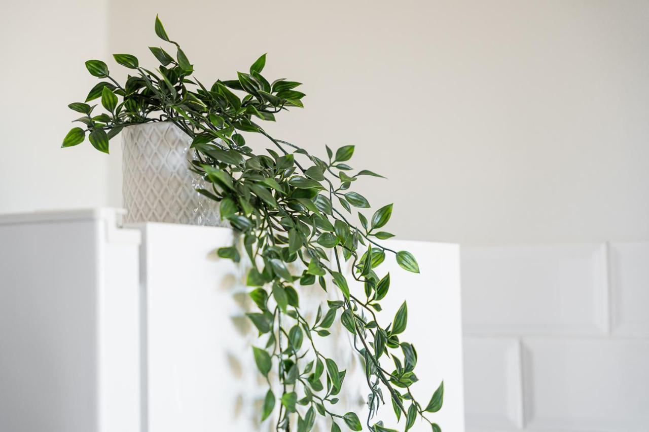 Catarina'S Little Corner By Lovelystay Porto Buitenkant foto